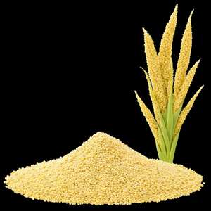 Foxtail Millet