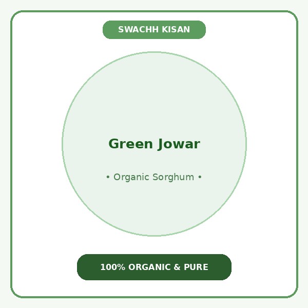 Green Jowar