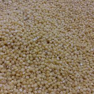 Little Millet