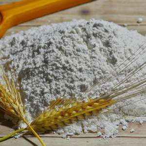 Whole Wheat Flour